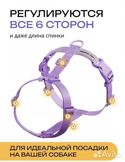 Анатомическая шлейка