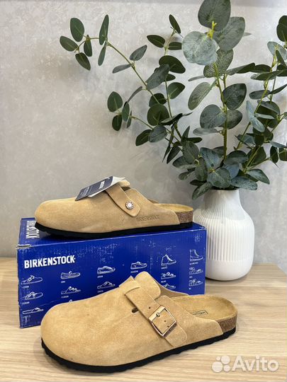 Сабо женские Birkinstock boston