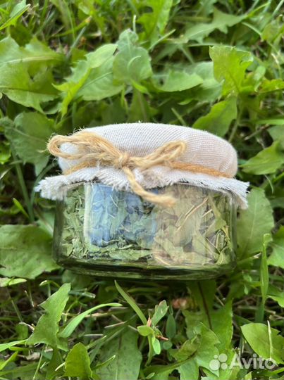 Таежные лечебные травы