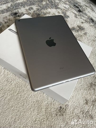 iPad