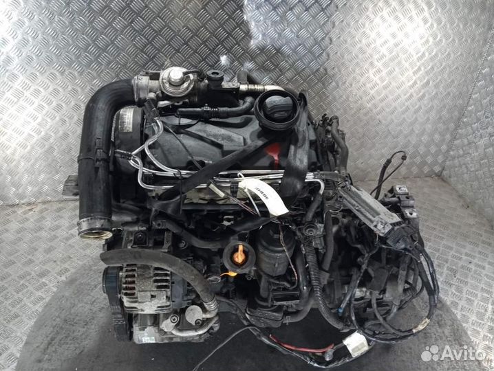 Двигатель BKC Volkswagen Golf 5 (2003-2009)