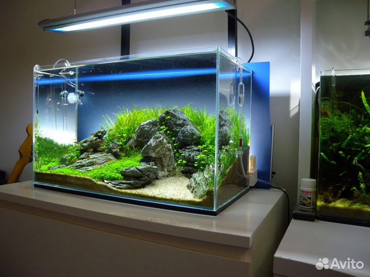 Аквариум Greenosis Optiwhite 30л с оборудованием