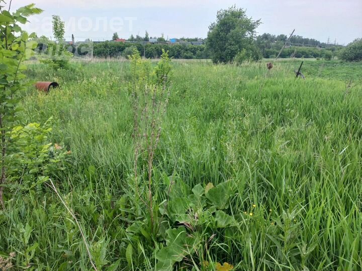 Участок 10 сот. (ИЖС)