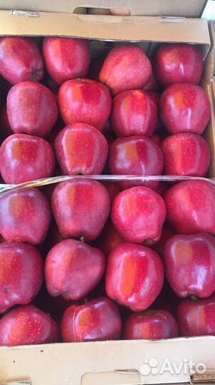 Овощи фрукты