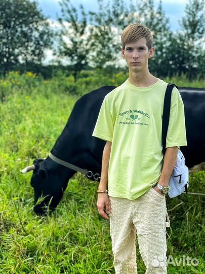 Начинающий колорист, Помощник коллориста