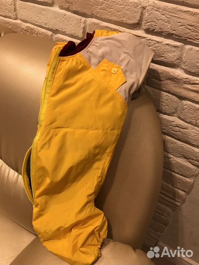 Комбинезон на собачку таксу