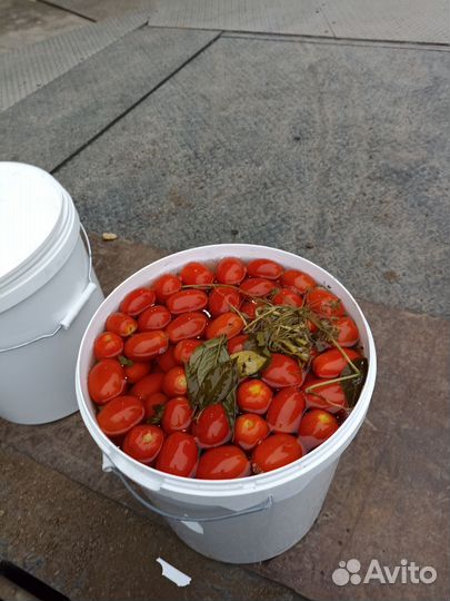 Соленые помидоры