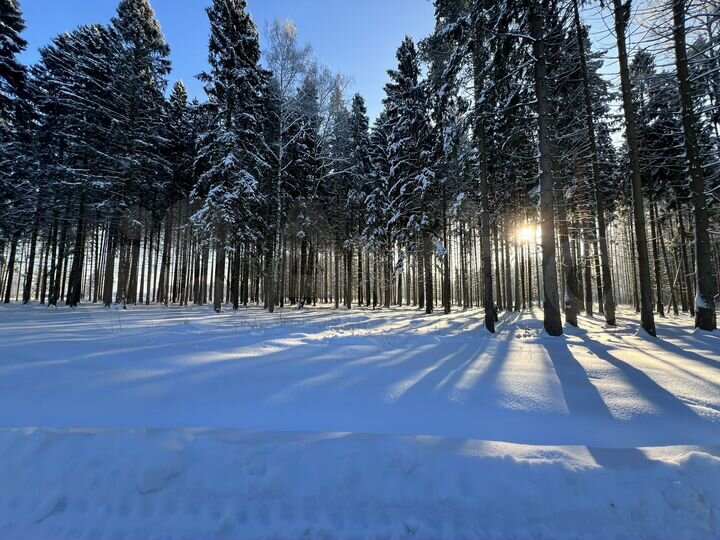 Участок 5,1 сот. (ИЖС)