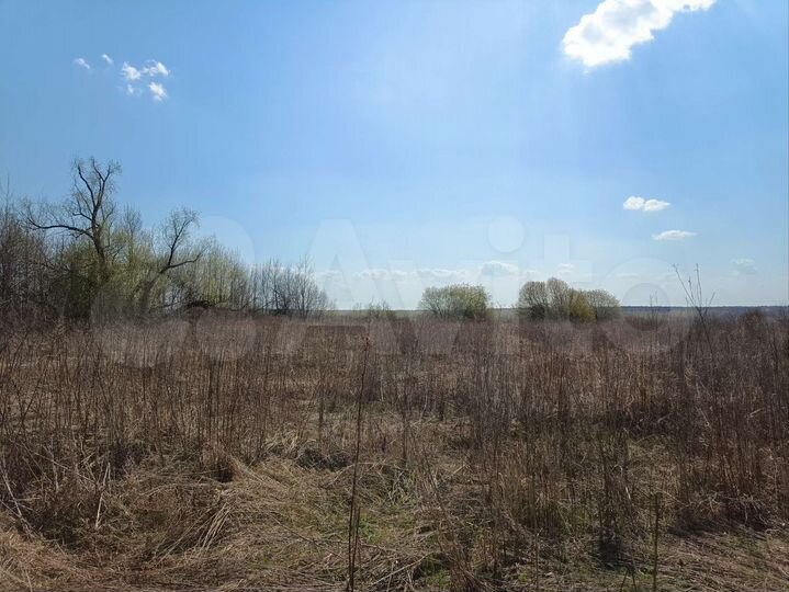 Участок 13 сот. (СНТ, ДНП)