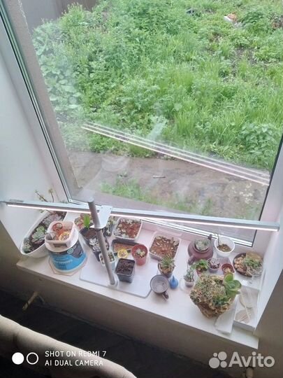 Фитосветильник для растений Uniel ULI-P11-35W