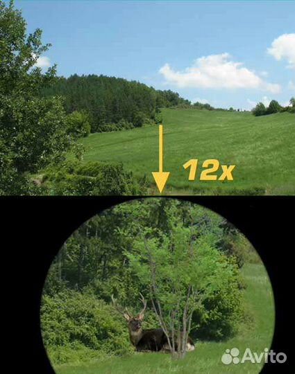 Бинокль егерский охотничий 70#10