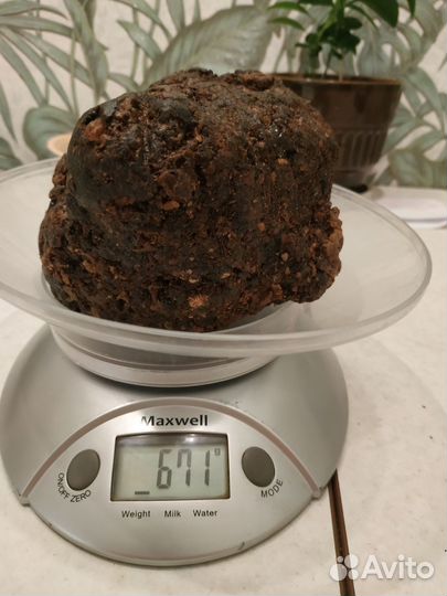 Прополис пчелиный