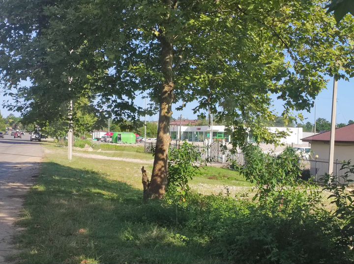Участок 5000 м² (Абхазия)