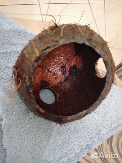 Кокос-укрытие для рыб, раков. Домики для хомячков