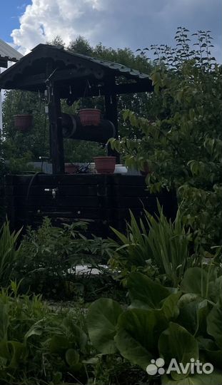 Многолетние садовые цветы