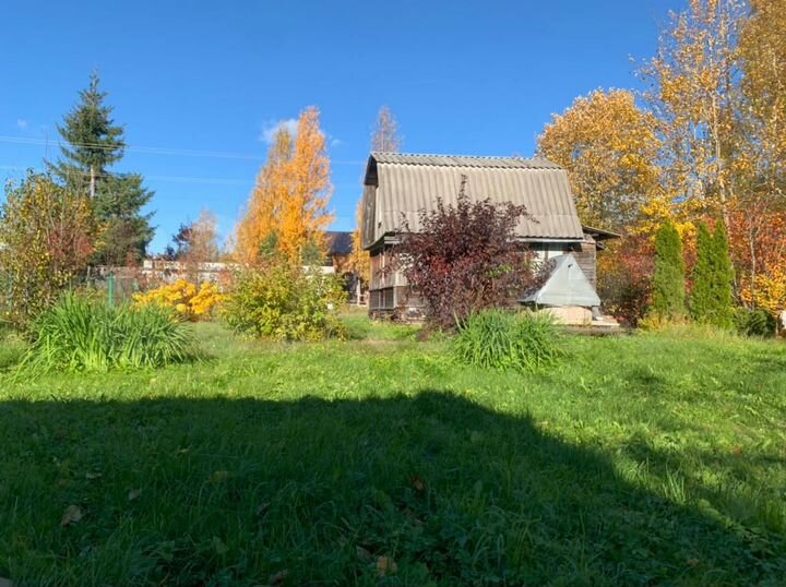 Участок 6,1 сот. (СНТ, ДНП)