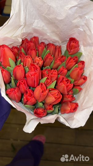 Тюльпаны 90