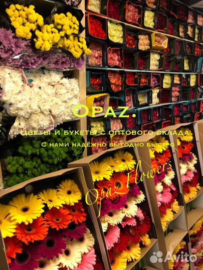 Эквадорские розы Цветы Доставка