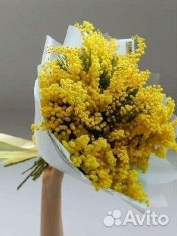 Мимоза опт/розница/тюльпаны