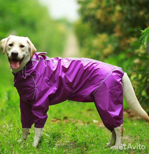 Дождевик для крупной собаки