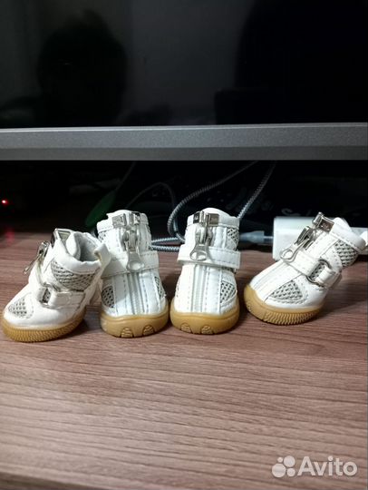 Одежда для животных