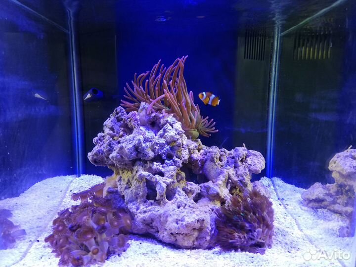 Морской аквариум (миник)