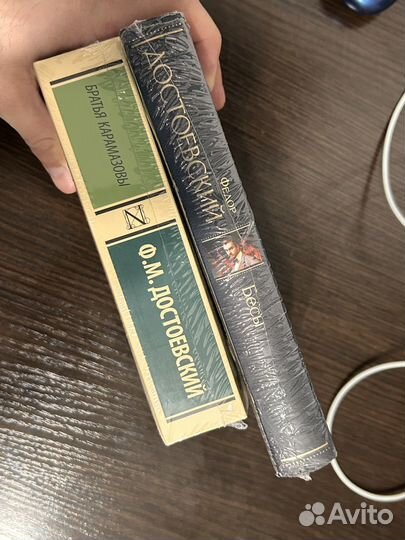 Новая запечатанная книга Бесы