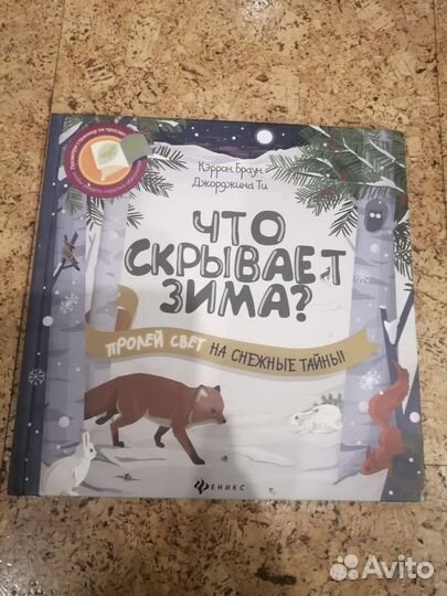 Книга Что скрывает зима