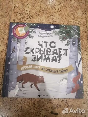 Книга Что скрывает зима