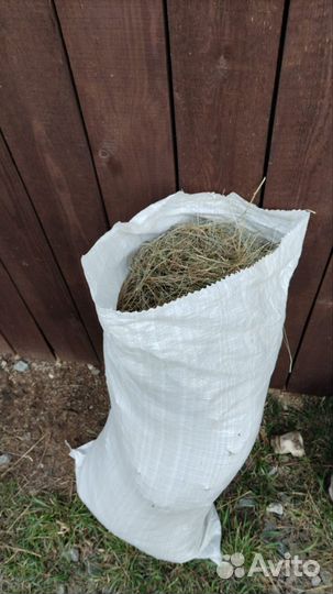 Сено в мешках для коз, кроликов, домашних грызунов