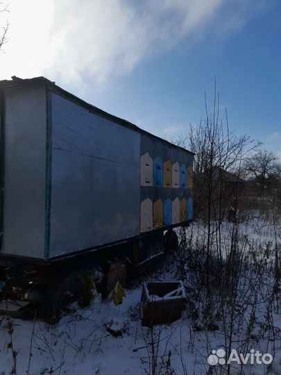 Продается пасека