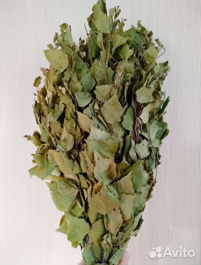 Веники березовые