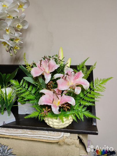 Растения, озеленение в кашпо, вазах, от