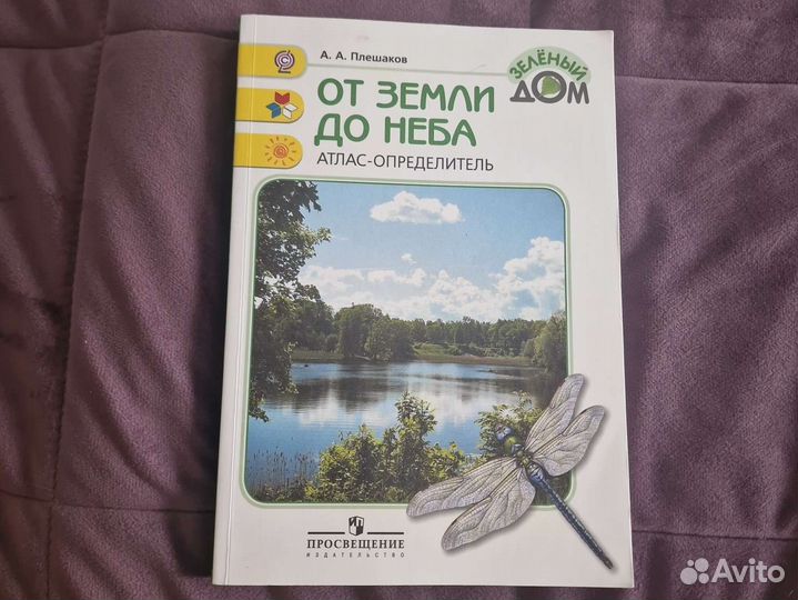 Зеленый дом Плешаков