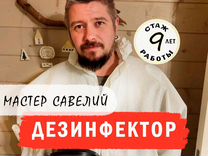 Дезинфекция Уничтожение тараканов клопов насекомых