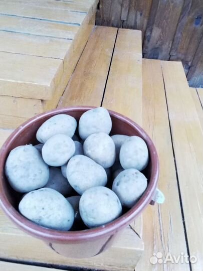 Продаю картошку с Большого луга