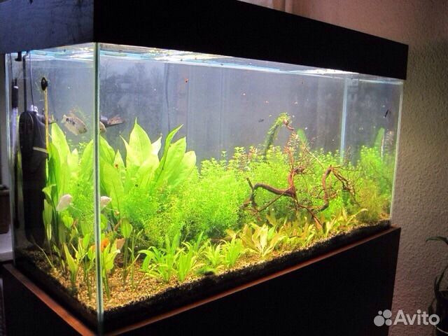 Продам террариум