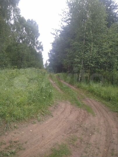 Участок 40 сот. (ИЖС)