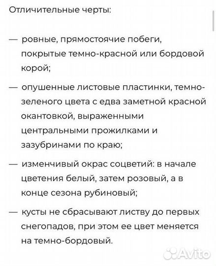 Гортензия Самарская Лидия