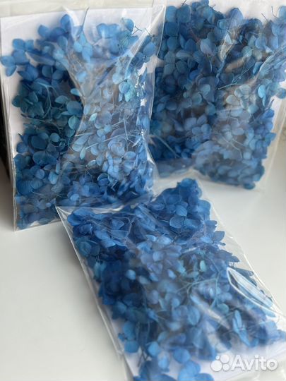 Сухоцветы для творчества/декора свечей/мыла