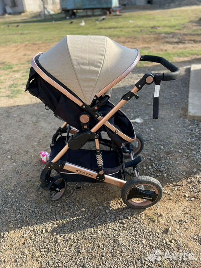Коляска 2 в 1 wisesonle