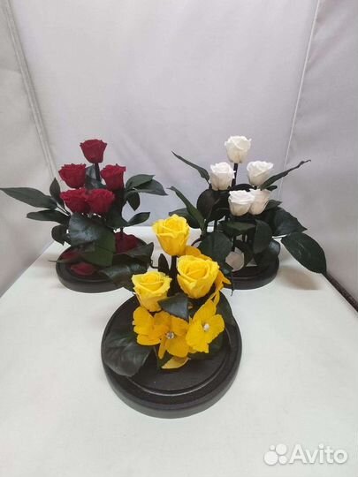 Роза в колбе