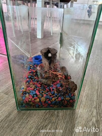 Аквариум