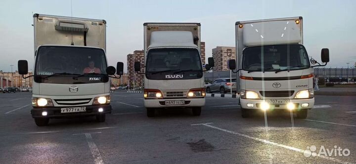 Грузоперевозки / грузчики