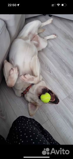 Мяч для тенниса