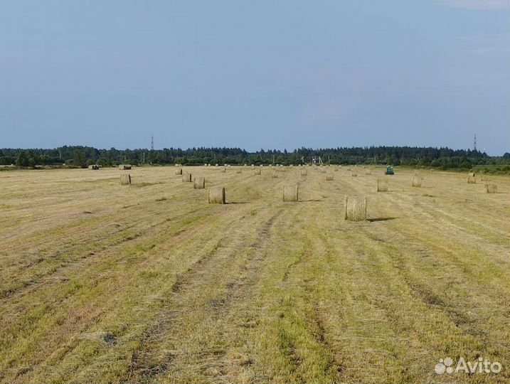 Сено в рулонах