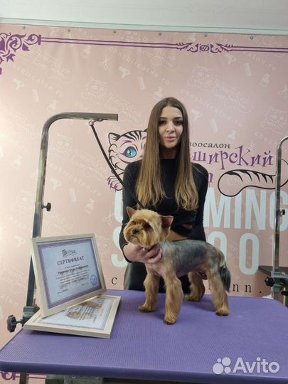 Грумер собак, кошек, выезды на дом