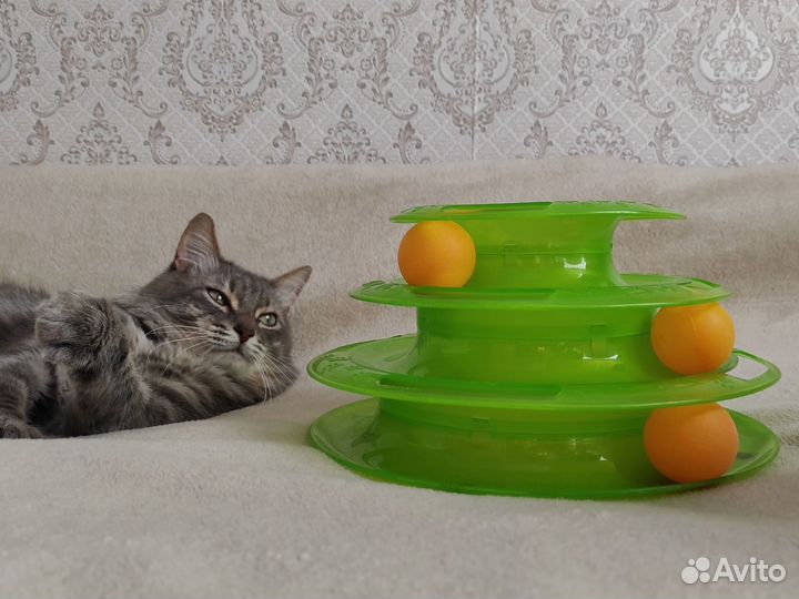 Игрушка для кошек Пирамида трек с шариками