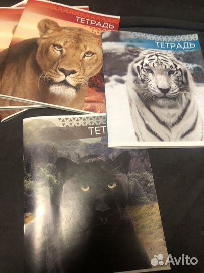 Тетради