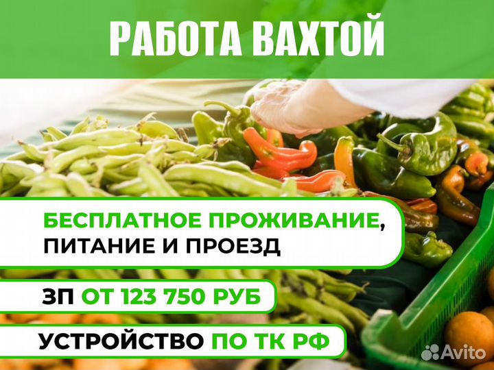 Работа для девушки. Для девушек